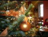 Arsena� Ristorante, Cafe, Bar