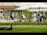 BELVEDERE Restauracja w Łazienkach Królewskich