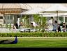 BELVEDERE Restauracja w Lazienkach Kr�lewskich