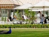 BELVEDERE Restauracja w Łazienkach Królewskich