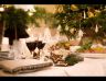 Belvedere Catering by Design / Restauracja Belvedere