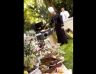 Belvedere Catering by Design / Restauracja Belvedere