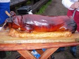 GOSPODA KAMPINÓWKA