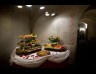 Restauracja i Klub Obiekt Znaleziony - Galeria Sztuki Zach�ta, Park Saski koncerty, imprezy z DJ-ami, przedstawienia, imprezy integracyjne, konferencje, bankiety, biznes lunche, wesela. - restauracje - restauracje warszawa - restauracje w centrum warszawy - restauracje w warszawie - restauracja w centrum warszawy - restauracja obiekt znaleziony - Restauracja i Klub Obiekt Znaleziony - Galeria Sztuki Zach�ta, Park Saski koncerty, imprezy z DJ-ami, przedstawienia, imprezy integracyjne, konferencje, bankiety, biznes lunche, wesela. - restauracje - restauracje warszawa - restauracje w centrum warszawy - restauracje w warszawie - restauracja w centrum warszawy - restauracja obiekt znaleziony
