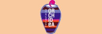 Orchidea
