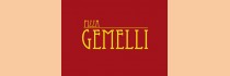 Pizza Gemelli