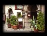 Restauracja ARKADIA