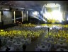 Sheraton Catering Service