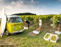 Spotkanie branży HoReCa w Krakowie 