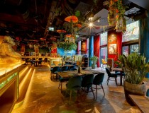 Baila Show & Dining 2