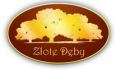 Hotel Złote Dęby
