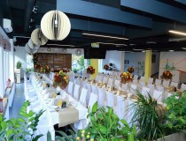 Bar & Bistro Kurnik